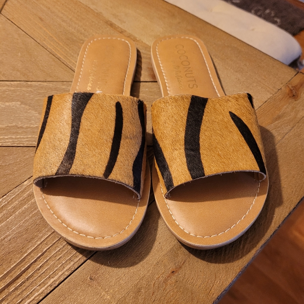 Coconuts By Matisse Tiger Slides